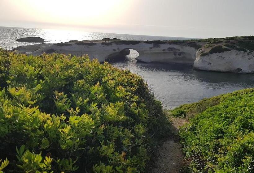 膳宿费 L Agrumeto Segreto