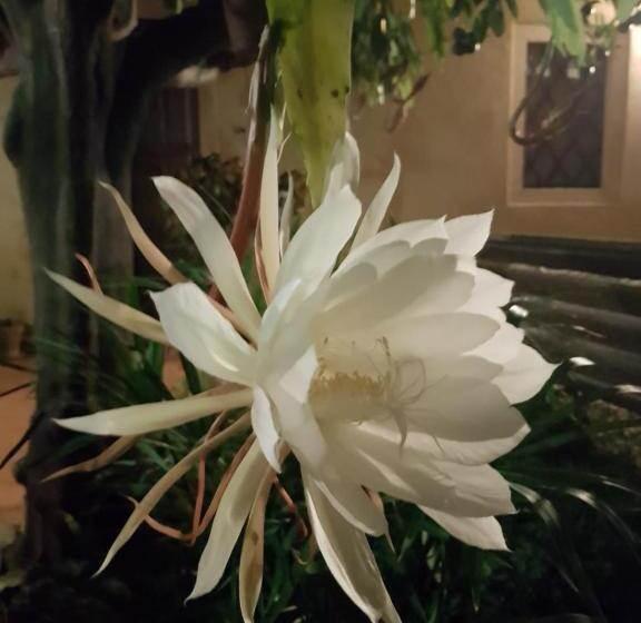 膳宿费 L Agrumeto Segreto