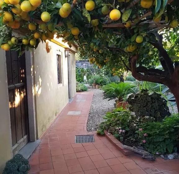 Majatalo L Agrumeto Segreto