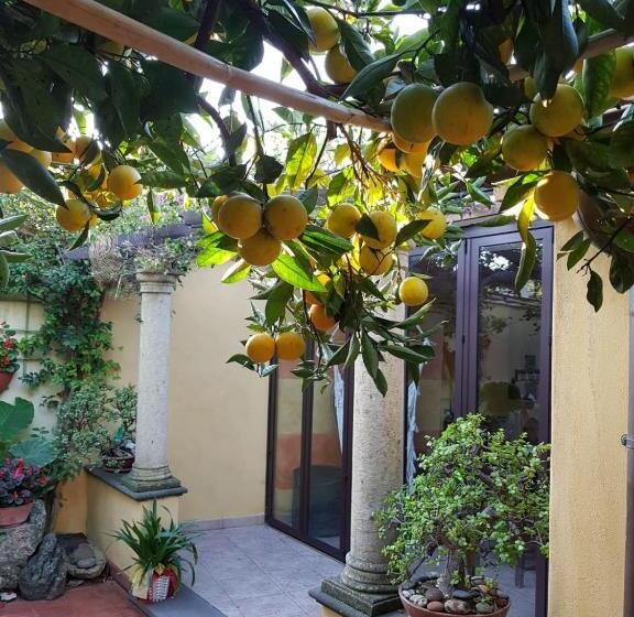 膳宿费 L Agrumeto Segreto