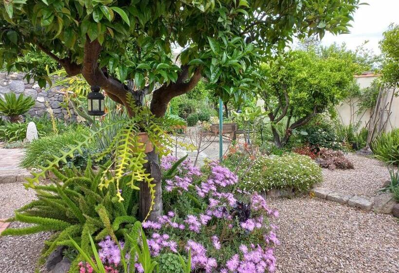 膳宿费 L Agrumeto Segreto