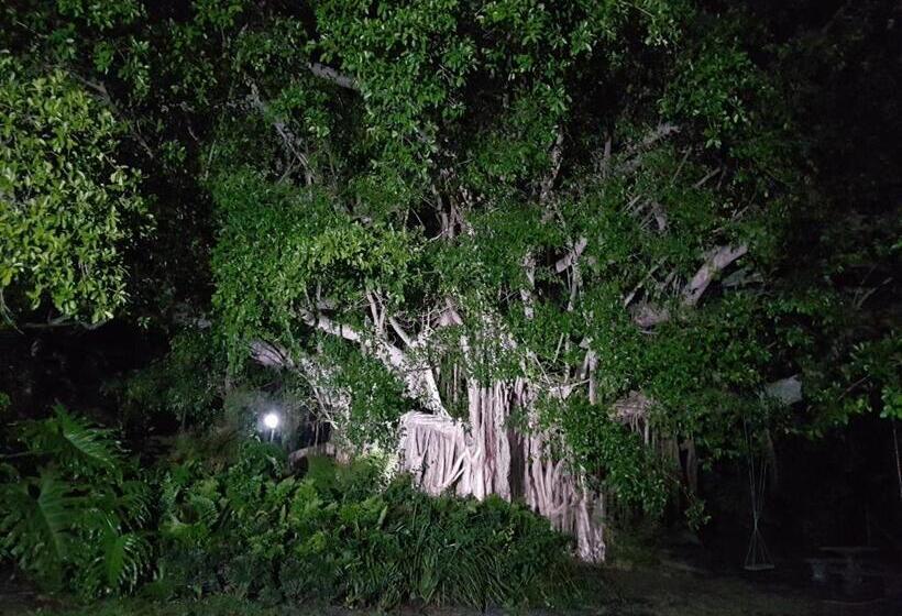 פנסיון Voelroepersfontein