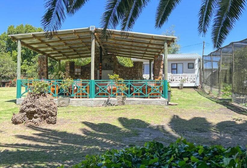 פנסיון Voelroepersfontein