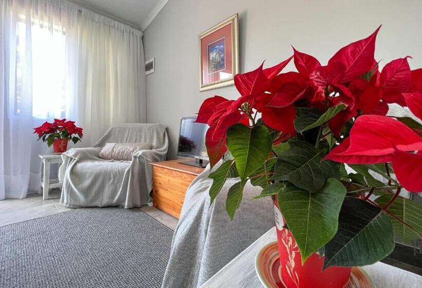 פנסיון Voelroepersfontein