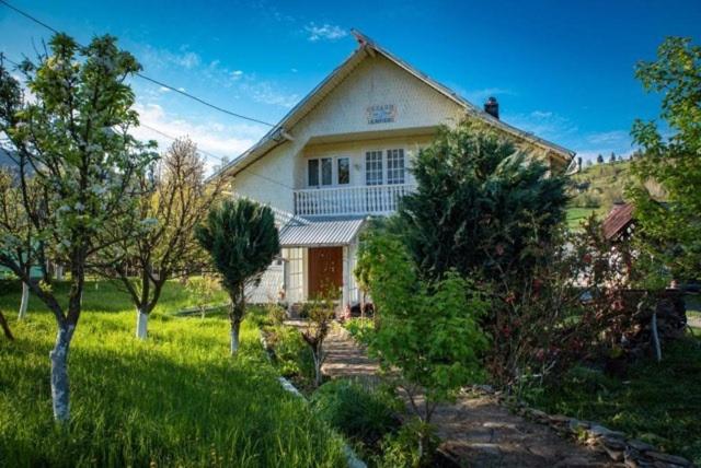 پانسیون Casa Firuta Borsa