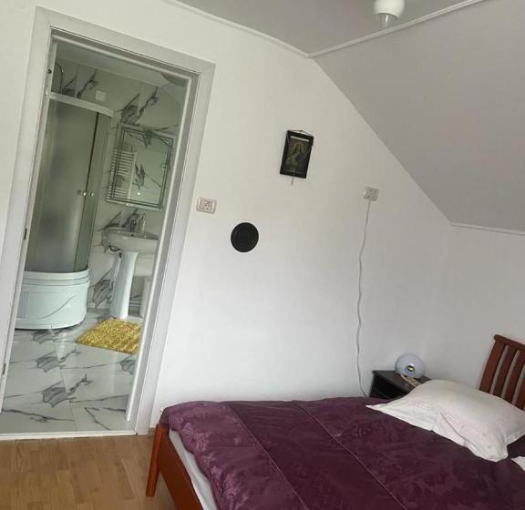 پانسیون Casa Firuta Borsa