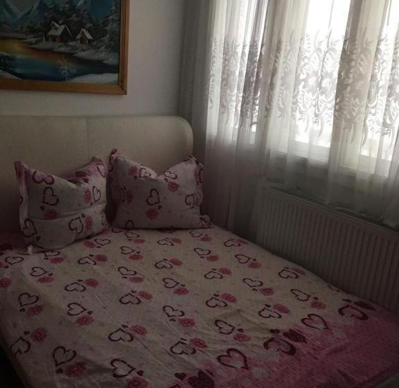 پانسیون Casa Firuta Borsa