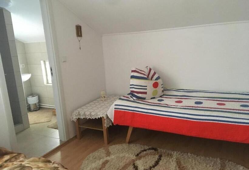 پانسیون Casa Firuta Borsa