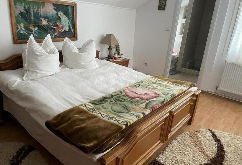 پانسیون Casa Firuta Borsa