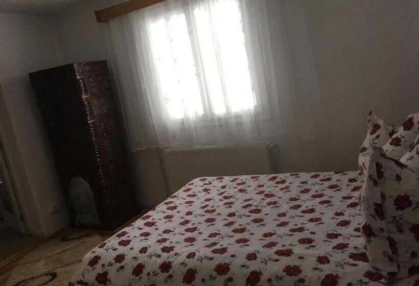 پانسیون Casa Firuta Borsa