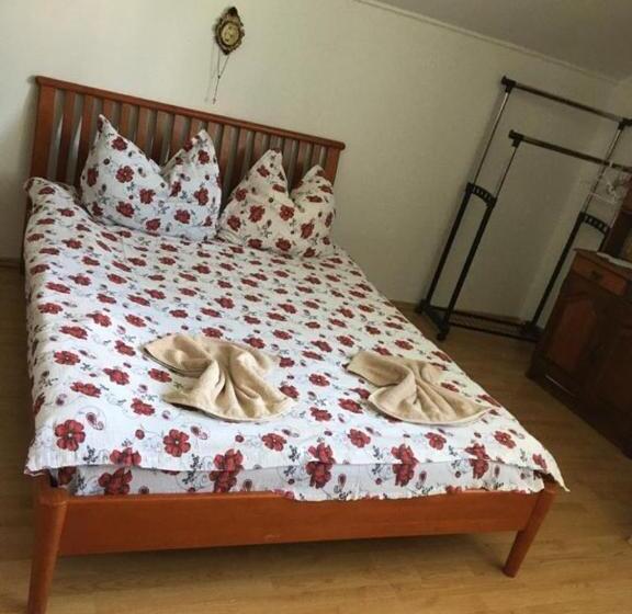 پانسیون Casa Firuta Borsa