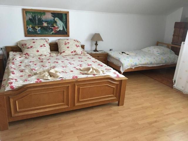 پانسیون Casa Firuta Borsa