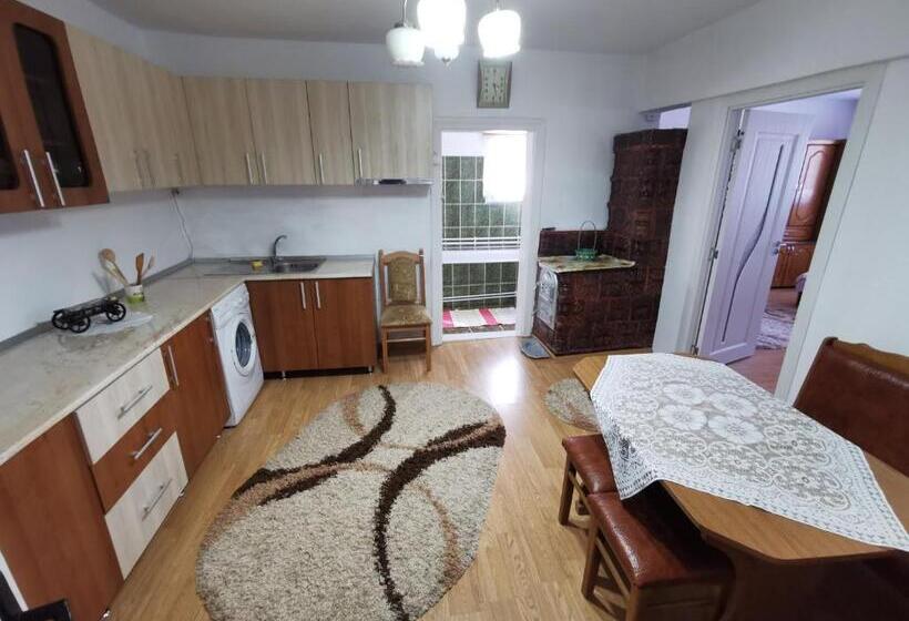 پانسیون Casa Firuta Borsa