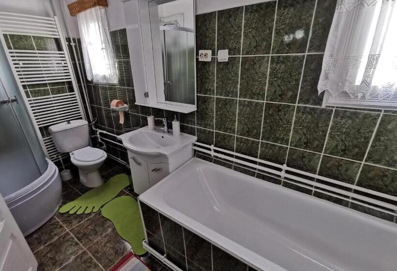 پانسیون Casa Firuta Borsa