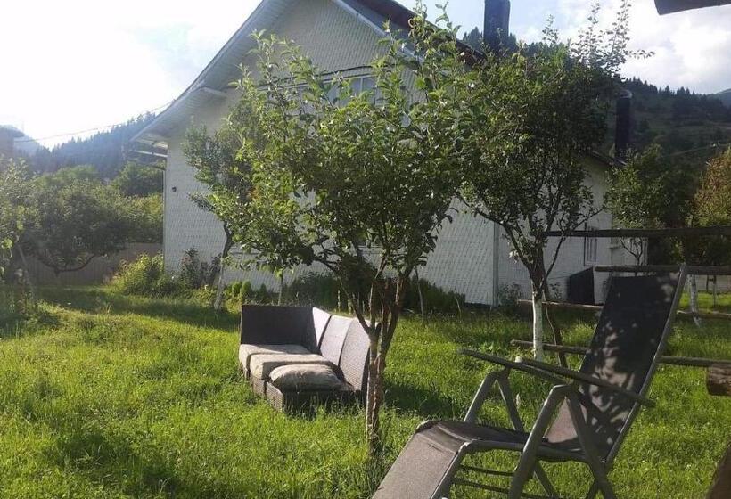 پانسیون Casa Firuta Borsa