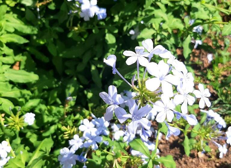 B&b L Amaca Della Felicità