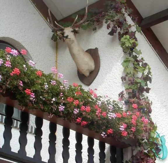 ベッドアンドブレックファースト Gasthof Lederhose