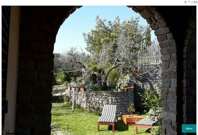 Bed and Breakfast La Collina Degli Olivi