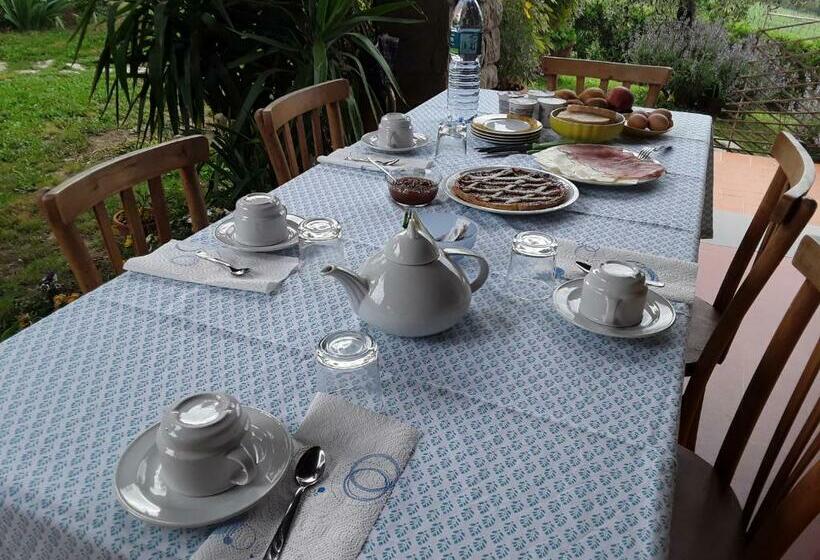 Bed and Breakfast La Collina Degli Olivi