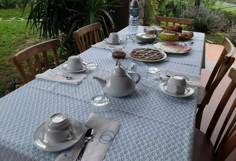 Aamiaismajoitus (B&B) La Collina Degli Olivi