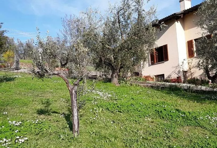 Aamiaismajoitus (B&B) La Collina Degli Olivi
