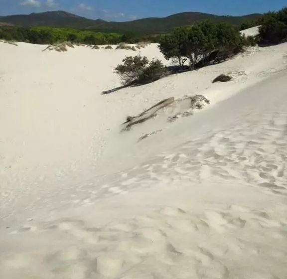 Aamiaismajoitus (B&B) La Macchia Mediterranea