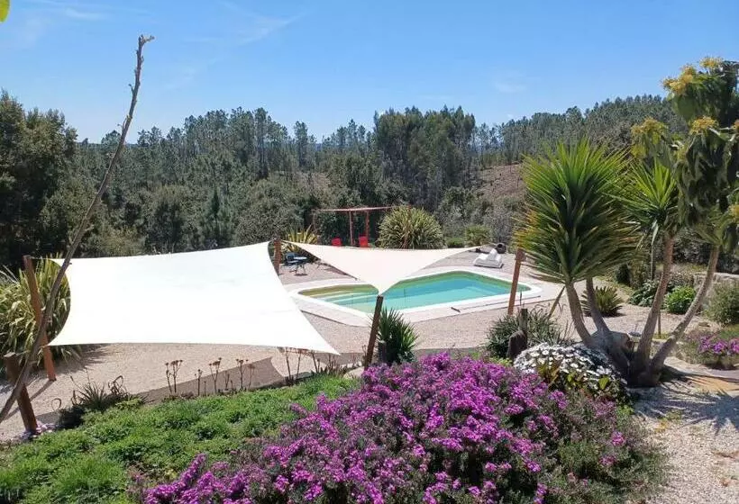 تختخواب و صبحانه Quinta Quatro Ventos