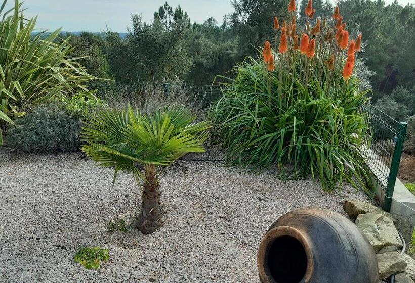 تختخواب و صبحانه Quinta Quatro Ventos