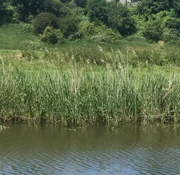 تختخواب و صبحانه The Tea House