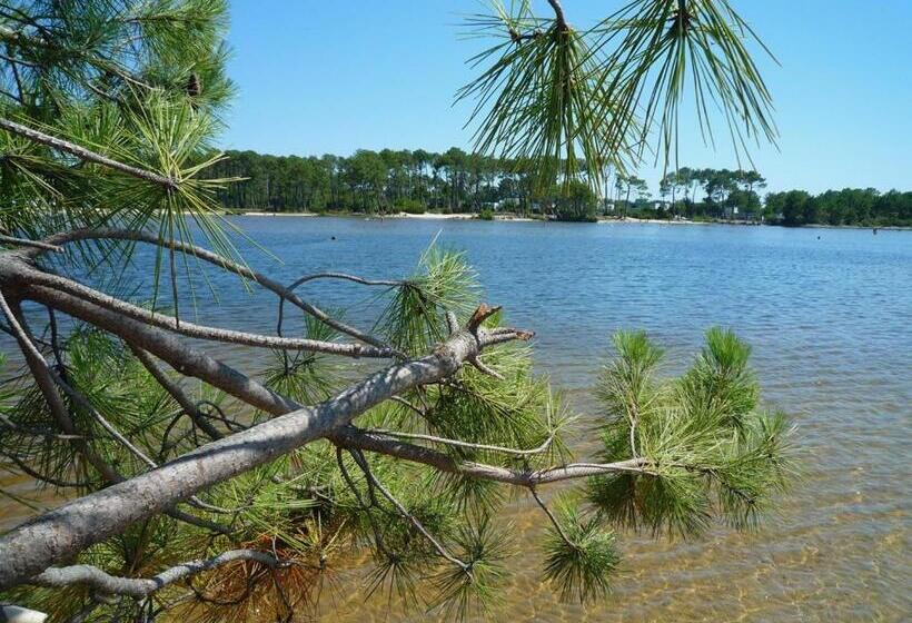 تختخواب و صبحانه Un Matin D’été