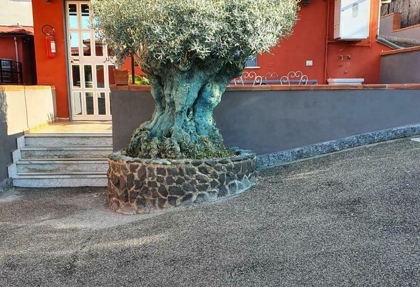 Bed & Breakfast Neapolis