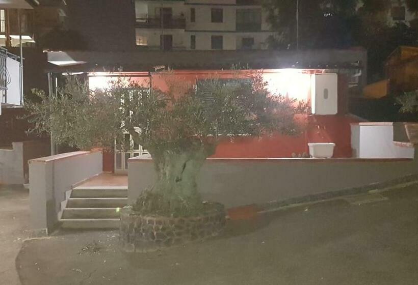 Bed & Breakfast Neapolis