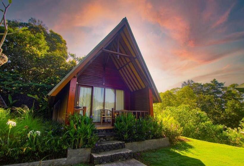 פנסיון Bintang House