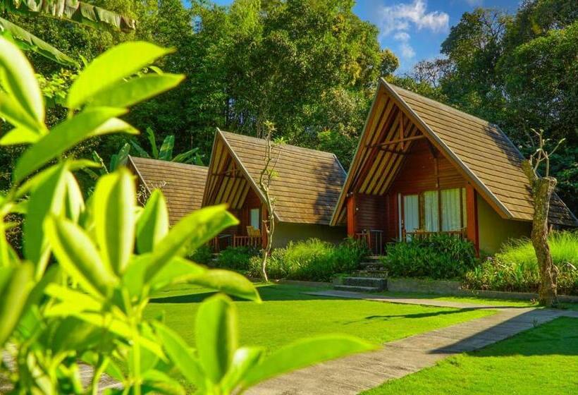 פנסיון Bintang House