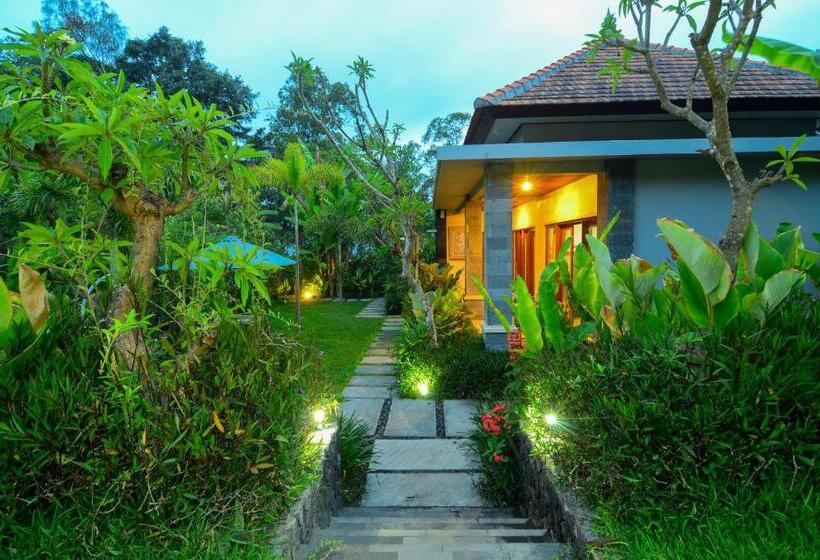 פנסיון Bintang House