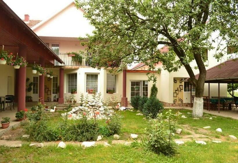 펜션 Denisa & Rares