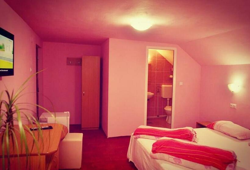 펜션 Denisa & Rares