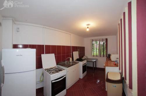 펜션 Denisa & Rares