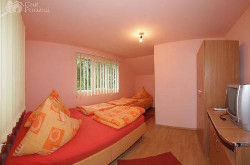 펜션 Denisa & Rares