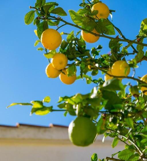 펜션 La Casita De Invitados