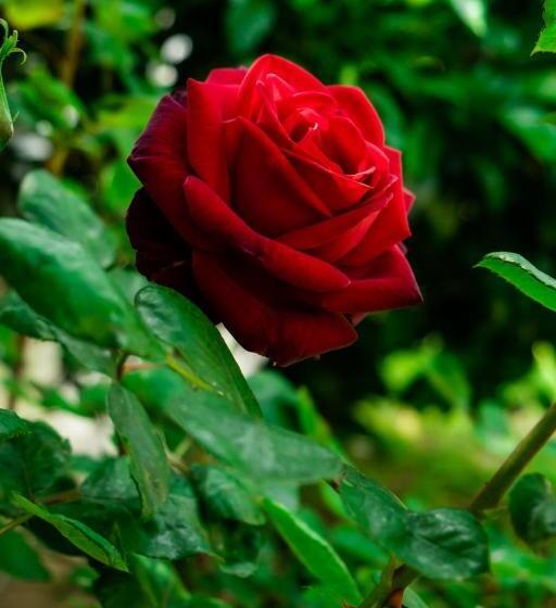 펜션 La Casita De Invitados