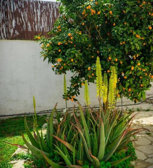 펜션 La Casita De Invitados