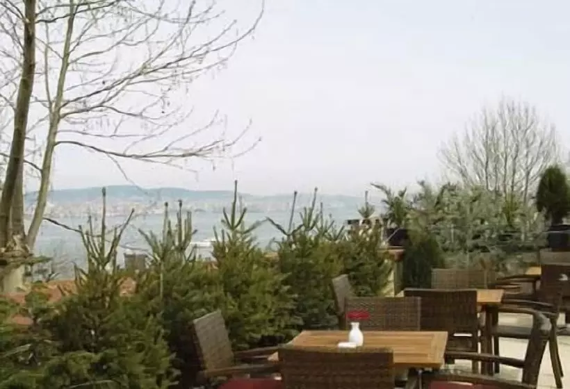 ホテル Büyükada Marine House