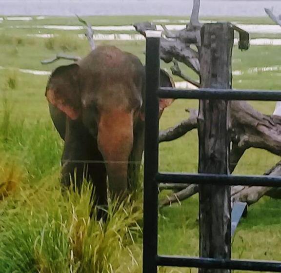 فندق Nildiya Lake