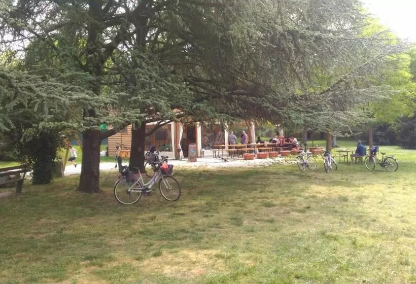 B&b Medole