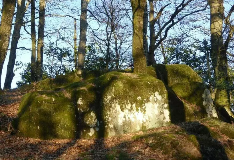 ベッドアンドブレックファースト B And B Sycomore, La Bouriotte