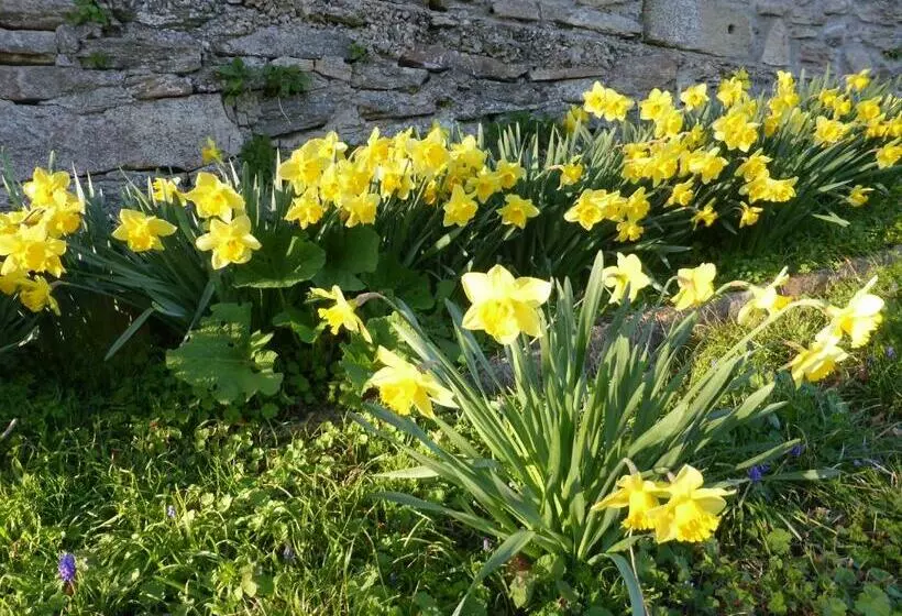 ベッドアンドブレックファースト B And B Sycomore, La Bouriotte