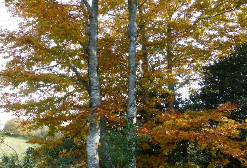 Bed and Breakfast B And B Sycomore, La Bouriotte