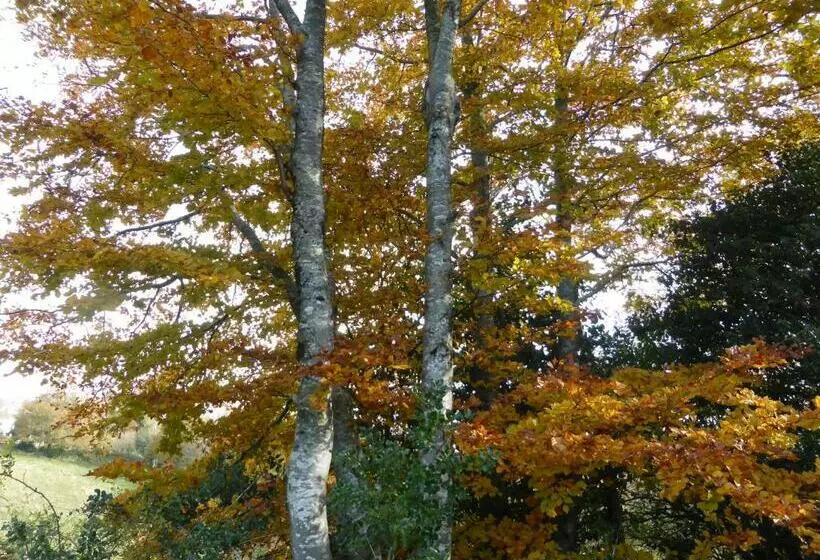 ベッドアンドブレックファースト B And B Sycomore, La Bouriotte