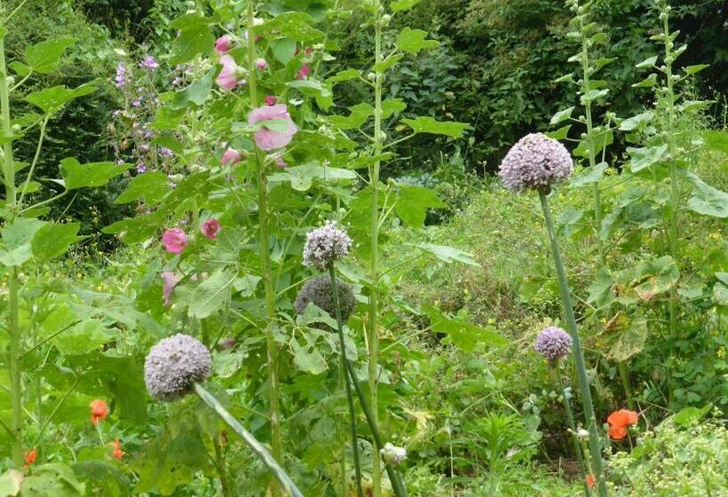 Bed and Breakfast B And B Sycomore, La Bouriotte